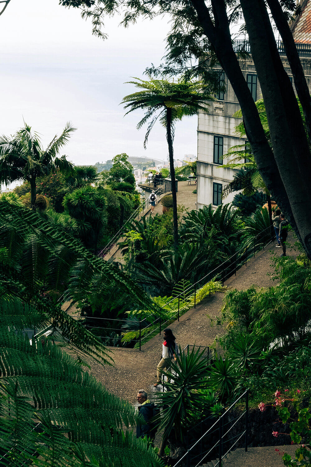 Neo-Nomadism: The Technology of the Perpetual Traveler